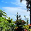 Отель Rainforest Inn, фото 15