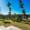 Отель Otousann B&B, фото 16