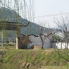 Отель Liuxi Mountain Villa, фото 26