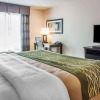 Отель Comfort Inn & Suites, фото 7
