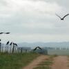 Отель Estancia Pinos de la Quebrada, фото 14