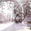 Отель Colorado Chautauqua, фото 9