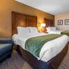 Отель Comfort Inn & Suites, фото 7