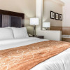 Отель Comfort Suites Morrow - Atlanta South, фото 5