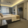 Отель Panula Park Hotel, фото 5