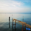 Отель Dianshanhu Small Fishing Village Homestay, фото 8