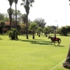 Отель Sun City Resort, фото 12