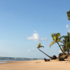Отель Pousada Velas e Vento - Acesso fácil a Barra Grande, фото 17