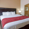 Отель Comfort Suites Shreveport West I-20, фото 4