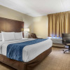 Отель Comfort Inn Grand Rapids Airport, фото 4