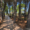 Отель Residence Giglio di mare 2, фото 10