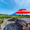Отель Jeju Healing Resort, фото 18