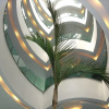 Отель Scala Magna Suites & Villas, фото 11