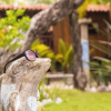 Отель Redwood Beach Resort, фото 23