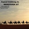 Отель Camel Trek Bivouac в Мерзуге