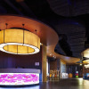 Отель Aloft Dongguan Songshan Lake, фото 12