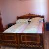 Отель Pensiunea Julia, фото 2