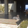 Отель Villa Ammos Vasilikos Zakynthos, фото 4