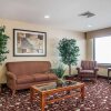 Отель Comfort Inn & Suites Atoka-Millington, фото 12