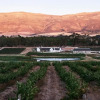 Отель Rijks Wine Estate and Hotel, фото 30