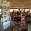 Отель Crocodile Camp Masai Mara, фото 7