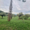 Отель Villa in 8 Ettari di Campagna, a 20' Dal Mare, фото 14