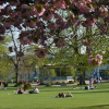 Отель Flat 3, 6 Lypiatt Terrace Cheltenham Gloucestershire GL50 2SX, фото 15