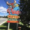 Отель Pines Motel, фото 4