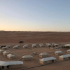 Отель Desert Rose Camp, фото 7