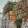 Отель Villa Nordic Dream, фото 18