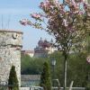 Отель Landhotel Wachau, фото 17