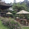 Отель Rumah Stroberi Organic Farm and Lodge, фото 46