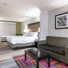 Отель Holiday Inn Express & Suites New Martinsville, an IHG Hotel, фото 5