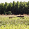Отель Rhino Coast Guest House, фото 25