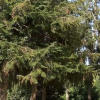 Отель Bed & Breakfast La Pace, фото 10