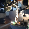 Отель B&B Il Piccolo Rifugio, фото 18
