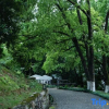 Отель Wuyishan Rongjingshu Hotel, фото 15