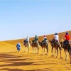 Отель Camels House, фото 38