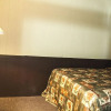 Отель Southsider Motel, фото 3
