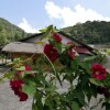 Отель Xiangyuan Inn, фото 49