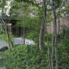 Отель Yufuin Hotel Shuhokan, фото 11