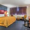Отель Econo Lodge, фото 4