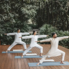 Отель Six Senses Vana - A Wellness Retreat, фото 22