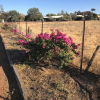 Отель Longreach Outback Adventures, фото 12