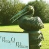 Отель The Peaceful Pelican, фото 8