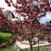 Отель Ferienwohnungen am Brockenblick, фото 45