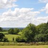 Отель Immaculate and Cosy Bell Tent in Shaftesbury, UK, фото 6