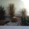 Отель Apartment With one Bedroom in Casablanca, With Wonderful sea View, Enclosed Garden and Wifi - Near t, фото 2