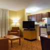 Отель TownePlace Suites by Marriott Tallahassee N Capital Circle, фото 5