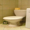 Отель B&B Adax Pokoje Goscinne, фото 16